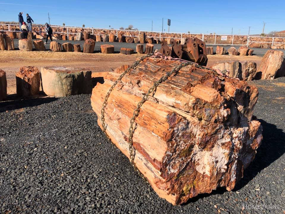 Phụ gia đất hóa đá - Giải pháp công nghệ xanh cho ngành vật liệu xây dựng Việt Nam